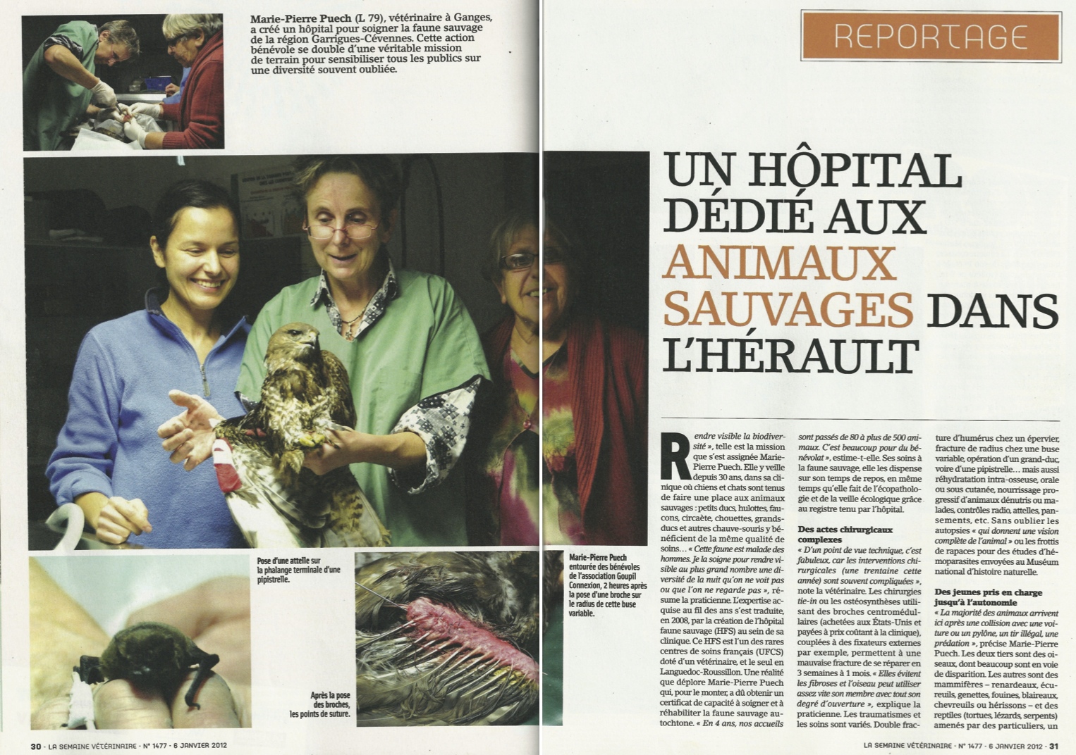 article HFS SV janvier 2012 (reportage Myriem Lahidely) p2-3