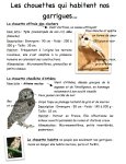 livret d'ac chouettes en garrigues p2 {JPEG}