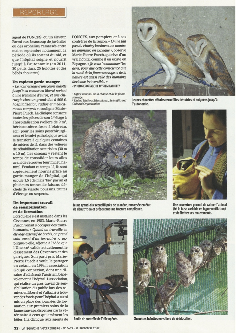 article HFS SV janvier 2012 (reportage Myriem Lahidely) p4