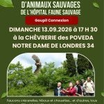 RELÂCHÉS - Événements - Médiatisations - Actions 2026 (et avant...) de Goupil connexion, 30 ans en 2026 ! La nature ne va pas bien, à cause des hommes, il est urgent de changer !