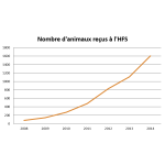 2026, 18 ans après son ouverture, 33 000 animaux accueillis à l'HFS gratuitement, en route vers un HFS de poche d'excellence
