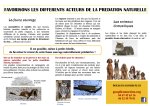 Arrêtons les pesticides p2 {JPEG}