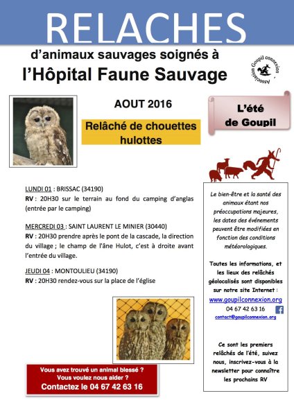 Affiche relâchés début août 2016